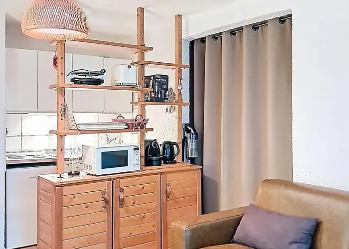 Meijotel - Pratique Et Tres Bien Equipe . Au Pied Des Pistes . Centre Station Mae-9443 Appartement