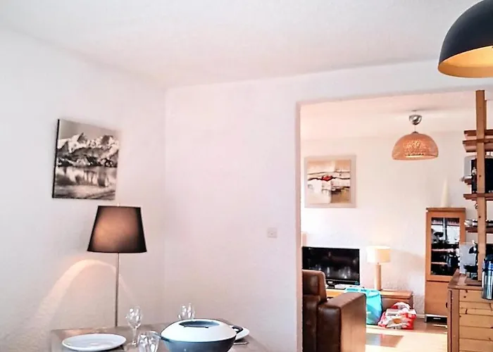 Apartment Meijotel - Pratique Et Tres Bien Equipe . Au Pied Des Pistes . Centre Station Mae-9443